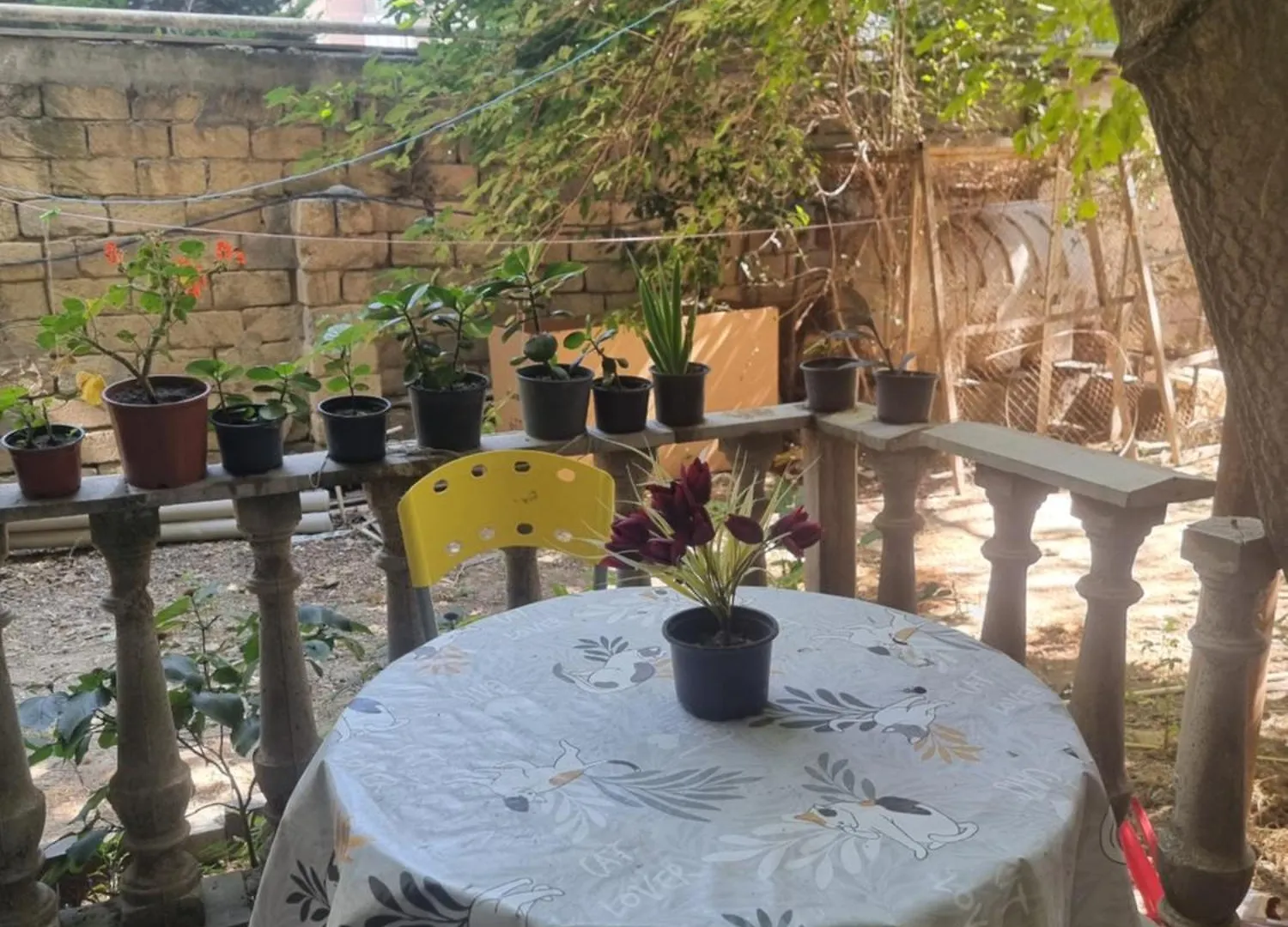 Hostel Bakoe